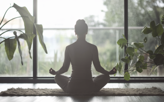 silhouette-meditation-tapis-plantes-lumiere