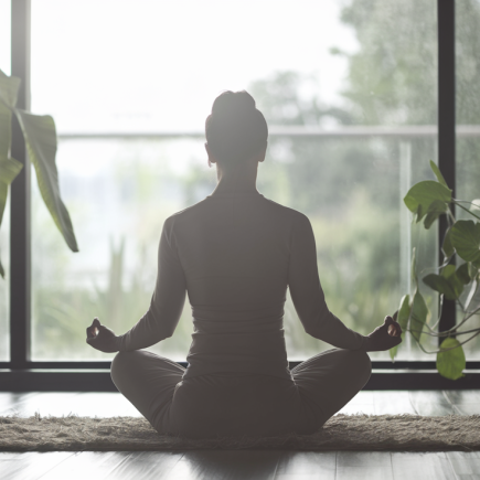 silhouette-meditation-tapis-plantes-lumiere